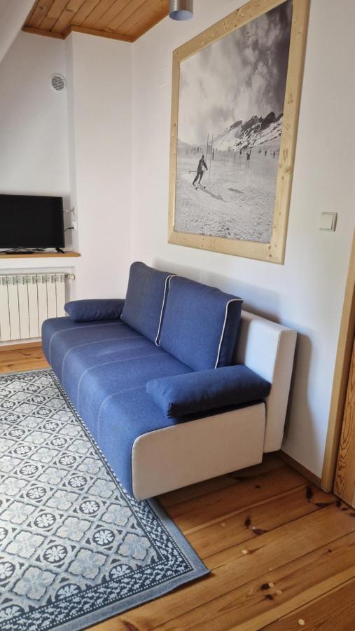 Willa Emilia Zakopane Kültér fotó